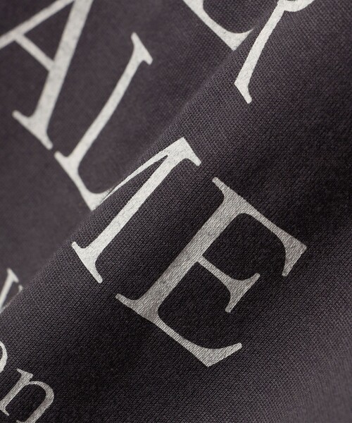 SHIPS（シップス）の「ローズペトール 半袖 プリント TEE（Tシャツ/カットソー・レディース・ホワイト/ダークグレー/オフホワイト/チャコールグレー/ブラウン/ブルー・ONE SIZE）」の18枚目の写真