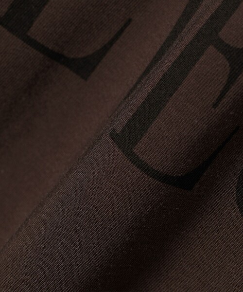 SHIPS（シップス）の「ローズペトール 半袖 プリント TEE（Tシャツ/カットソー・レディース・ホワイト/ダークグレー/オフホワイト/チャコールグレー/ブラウン/ブルー・ONE SIZE）」の20枚目の写真