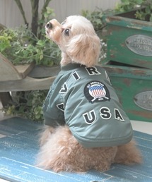 AVIREX(ABbNX)AVIREX/MA-PVOj`[rbOS(ybgEFA)