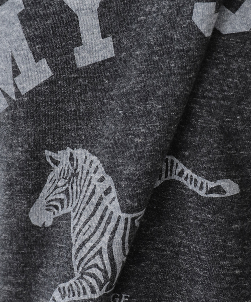 journal standard L'essage（ジャーナルスタンダードレサージュ）の「【ZEBRA】Tシャツ（Tシャツ/カットソー・レディース・チャコールグレー/ブラウン・FREE）」の14枚目の写真