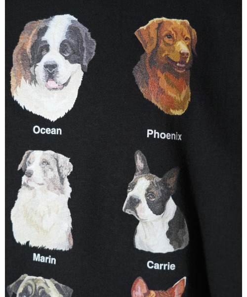 JERZEES(ジャージーズ)の「JERZEES ジャージーズ / "9 DOGS"SS TEE(Tシャツ/カットソー・メンズ・ホワイト/ブラック・MEDIUM/LARGE/X-LARGE)」の22枚目の写真