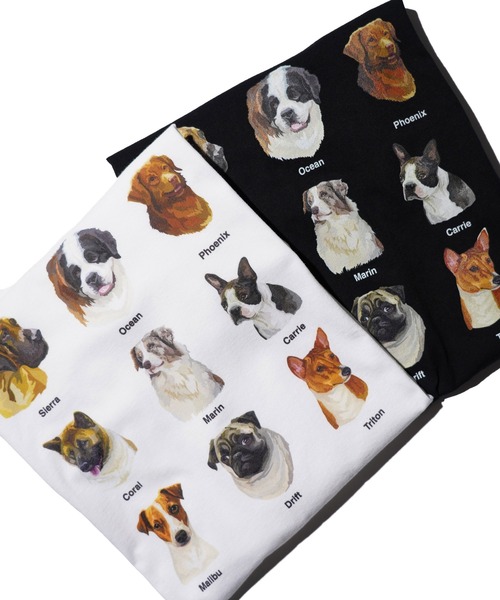 JERZEES(ジャージーズ)の「JERZEES ジャージーズ / "9 DOGS"SS TEE(Tシャツ/カットソー・メンズ・ホワイト/ブラック・MEDIUM/LARGE/X-LARGE)」の13枚目の写真