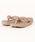 havaianasinCAiXj́uhavaianas (nCAiX) / Kids Top LbY T_ o[r[`T_iT_jvbS[hn̑