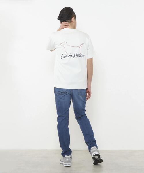 MEN'S MELROSE(メンズメルローズ)の「Labrador Retriever コラボTシャツ(Tシャツ/カットソー・メンズ・ホワイト/ホワイト系その他/ホワイト系その他2・3/4/2)」の18枚目の写真