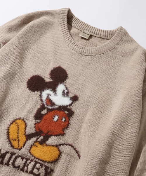 セール】【Disney/ディズニー】アートワークデザイン ループ刺繍