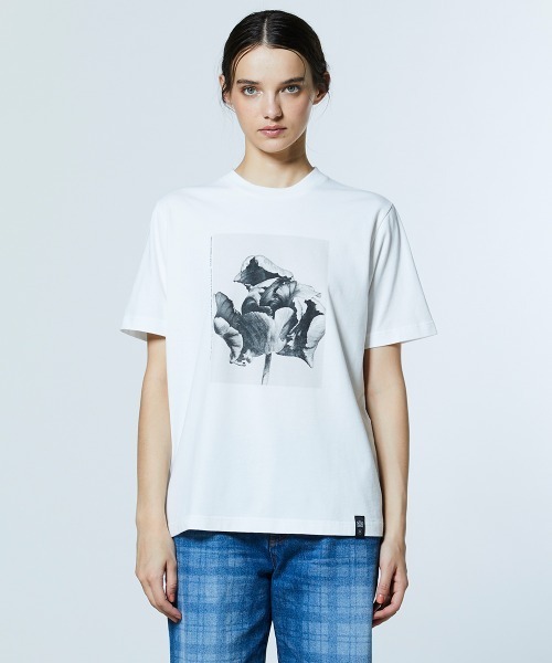 DOUBLE STANDARD CLOTHING(ダブルスタンダードクロージング)の「レアルツイスト フォトプリント天竺Tシャツ(Tシャツ/カットソー・レディース・オフホワイト・FREE)」の1枚目の写真