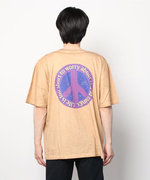 Stupid Snake Big T / スチューピッドスネークビッグT（Tシャツ/カットソー）｜ALDIES（アールディーズ）