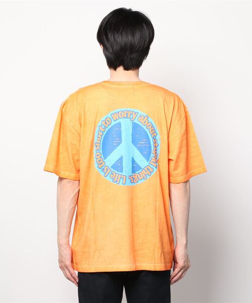 Stupid Snake Big T / スチューピッドスネークビッグT（Tシャツ/カットソー）｜ALDIES（アールディーズ）