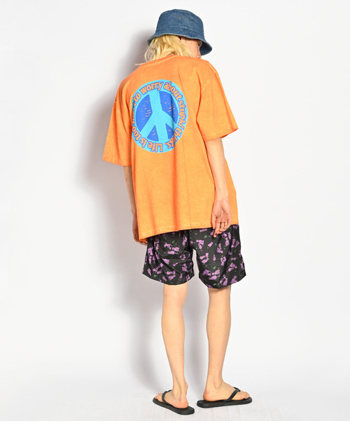 Stupid Snake Big T / スチューピッドスネークビッグT（Tシャツ/カットソー）｜ALDIES（アールディーズ）