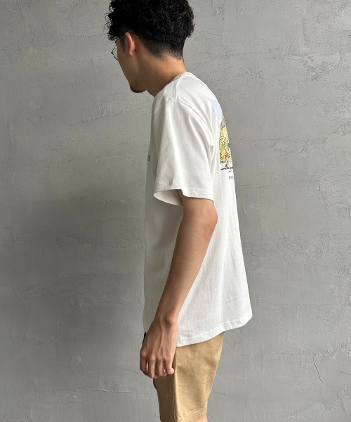 CHUMS（チャムス）の「【WEB限定】[CHUMS/チャムス] チャムスザイオンキャンピング バックプリントTシャツ（Tシャツ/カットソー・レディース・グレイッシュベージュ/ホワイト/チャコールグレー・M/L/XL）」の12枚目の写真