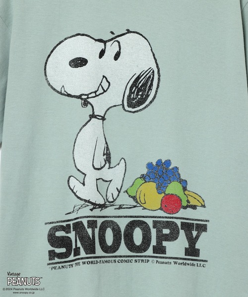 FRUIT OF THE LOOM(フルーツオブザルーム)の「FRUIT OF THE LOOM/フルーツオブザルーム FTL×PEANUTS 表ピーチ起毛T-a(Tシャツ/カットソー・メンズ・アイボリー/サックスブルー・L/M/S)」の9枚目の写真