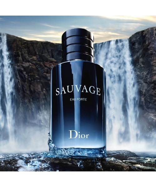 ⚡️新品⚡️Dior SAUVAGE 60ml ディオール ソバージュ オーフォルト ソヴァージュ オー フォルト（60mL）（香水）｜DIOR（ディオール）の