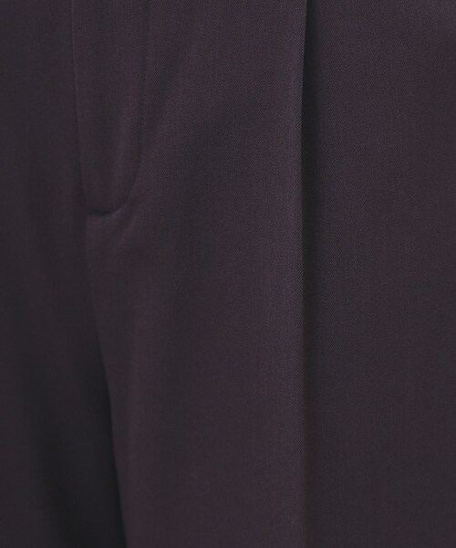 index（インデックス）の「裏起毛ストレッチワイドパンツ【洗濯機OK/イージーアイロン】（その他パンツ・レディース・ブラック/ブラウン系その他/ライトグレー・36/38/40/42）」の15枚目の写真