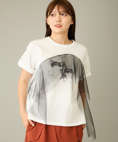mien（ミアン）の「【mien】チュールmixキャットプリントTee（Tシャツ/カットソー・レディース・ブラック/ホワイト・38）」の4枚目の写真