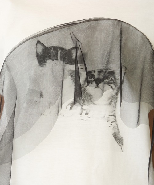 mien（ミアン）の「【mien】チュールmixキャットプリントTee（Tシャツ/カットソー・レディース・ブラック/ホワイト・38）」の14枚目の写真