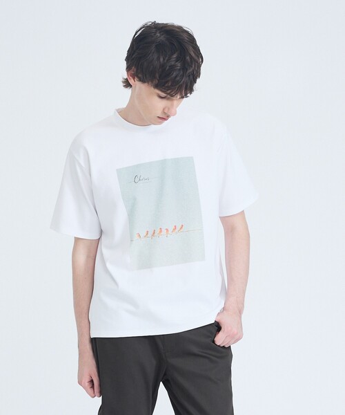 ABAHOUSE GRAY(アバハウスグレイ)の「【BIRD】 グラフィックTシャツ(Tシャツ/カットソー・メンズ・グリーン/オレンジ/ブルー・46/48)」の2枚目の写真