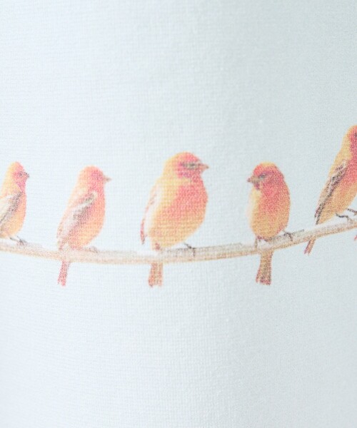 ABAHOUSE GRAY(アバハウスグレイ)の「【BIRD】 グラフィックTシャツ(Tシャツ/カットソー・メンズ・グリーン/オレンジ/ブルー・46/48)」の19枚目の写真