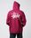 STUSSY�i�X�e���[�V�[�j�́uBasic Stussy Zip Hood�i�p�[�J�[�j�v�b�ڍ׉摜