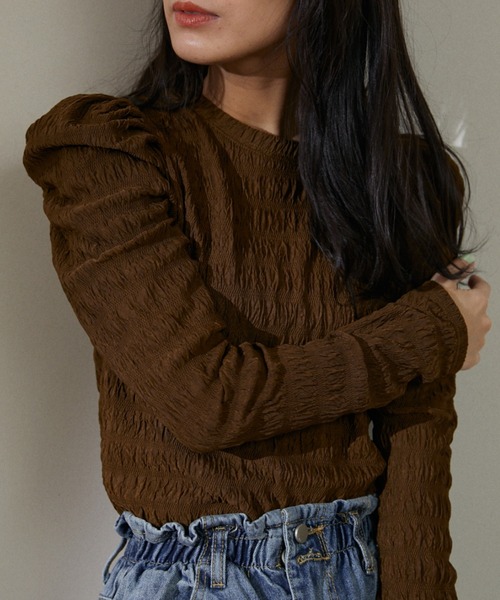 ECRIRE(エクリール)の「シアーパフカットプル(Tシャツ/カットソー・レディース・ブラック/オフホワイト/ブラウン・フリー)」の3枚目の写真