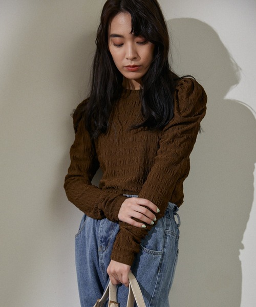 ECRIRE(エクリール)の「シアーパフカットプル(Tシャツ/カットソー・レディース・ブラック/オフホワイト/ブラウン・フリー)」の11枚目の写真