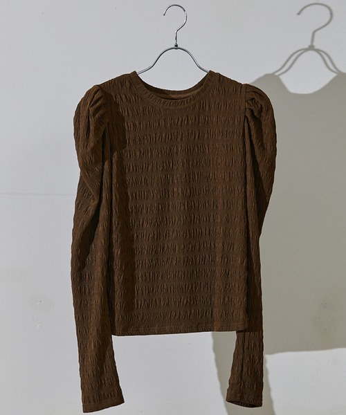 ECRIRE(エクリール)の「シアーパフカットプル(Tシャツ/カットソー・レディース・ブラック/オフホワイト/ブラウン・フリー)」の16枚目の写真