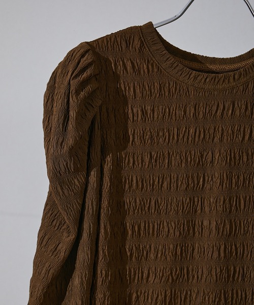 ECRIRE(エクリール)の「シアーパフカットプル(Tシャツ/カットソー・レディース・ブラック/オフホワイト/ブラウン・フリー)」の17枚目の写真