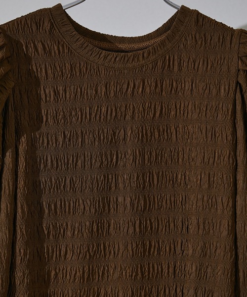 ECRIRE(エクリール)の「シアーパフカットプル(Tシャツ/カットソー・レディース・ブラック/オフホワイト/ブラウン・フリー)」の18枚目の写真