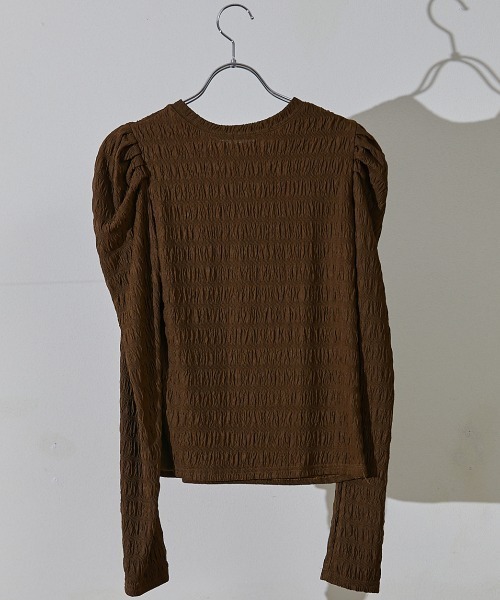 ECRIRE(エクリール)の「シアーパフカットプル(Tシャツ/カットソー・レディース・ブラック/オフホワイト/ブラウン・フリー)」の19枚目の写真