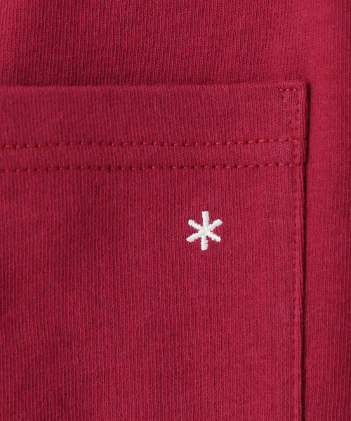 Snow Peak(スノーピーク)の「【SNOWPEAK / スノーピーク】BF lanthanum Printed ロングスリーブTシャツ(Tシャツ/カットソー・メンズ・ブラック/ベージュ/ボルドー・MEDIUM/LARGE)」の18枚目の写真