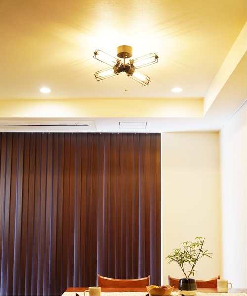 天井照明 journal standard Furniture ジャーナルスタンダード