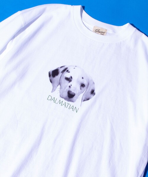 GLOSTER(グロスター)の「【新柄追加】【GLOSTER/グロスター】DOG&CAT 犬猫プリントTシャツ(Tシャツ/カットソー・メンズ・ホワイト系その他2/ホワイト系その他7/ホワイト系その他3/ホワイト系その他/ホワイト系その他6/ホワイト系その他5/ホワイト系その他4/その他・S/L/M)」の6枚目の写真
