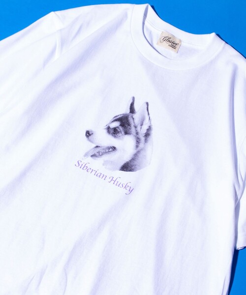 GLOSTER(グロスター)の「【新柄追加】【GLOSTER/グロスター】DOG&CAT 犬猫プリントTシャツ(Tシャツ/カットソー・メンズ・ホワイト系その他2/ホワイト系その他7/ホワイト系その他3/ホワイト系その他/ホワイト系その他6/ホワイト系その他5/ホワイト系その他4/その他・S/L/M)」の7枚目の写真