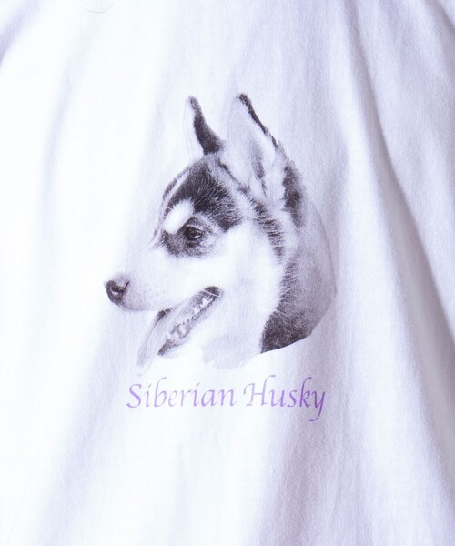 GLOSTER(グロスター)の「【新柄追加】【GLOSTER/グロスター】DOG&CAT 犬猫プリントTシャツ(Tシャツ/カットソー・メンズ・ホワイト系その他2/ホワイト系その他7/ホワイト系その他3/ホワイト系その他/ホワイト系その他6/ホワイト系その他5/ホワイト系その他4/その他・S/L/M)」の9枚目の写真