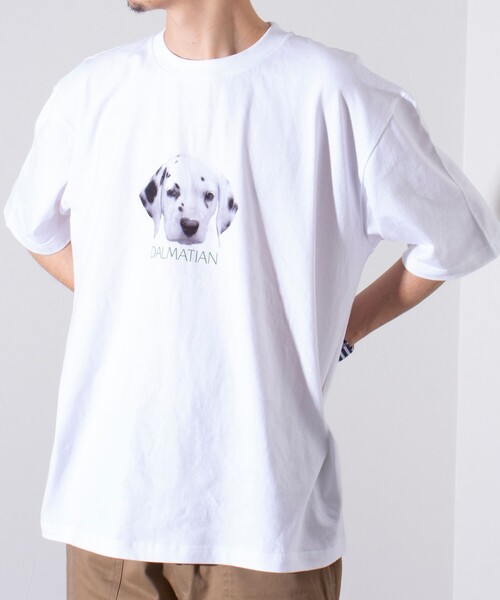 GLOSTER(グロスター)の「【新柄追加】【GLOSTER/グロスター】DOG&CAT 犬猫プリントTシャツ(Tシャツ/カットソー・メンズ・ホワイト系その他2/ホワイト系その他7/ホワイト系その他3/ホワイト系その他/ホワイト系その他6/ホワイト系その他5/ホワイト系その他4/その他・S/L/M)」の13枚目の写真