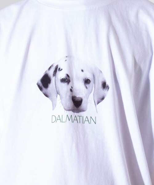 GLOSTER(グロスター)の「【新柄追加】【GLOSTER/グロスター】DOG&CAT 犬猫プリントTシャツ(Tシャツ/カットソー・メンズ・ホワイト系その他2/ホワイト系その他7/ホワイト系その他3/ホワイト系その他/ホワイト系その他6/ホワイト系その他5/ホワイト系その他4/その他・S/L/M)」の14枚目の写真