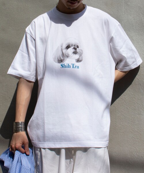 GLOSTER(グロスター)の「【新柄追加】【GLOSTER/グロスター】DOG&CAT 犬猫プリントTシャツ(Tシャツ/カットソー・メンズ・ホワイト系その他2/ホワイト系その他7/ホワイト系その他3/ホワイト系その他/ホワイト系その他6/ホワイト系その他5/ホワイト系その他4/その他・S/L/M)」の17枚目の写真