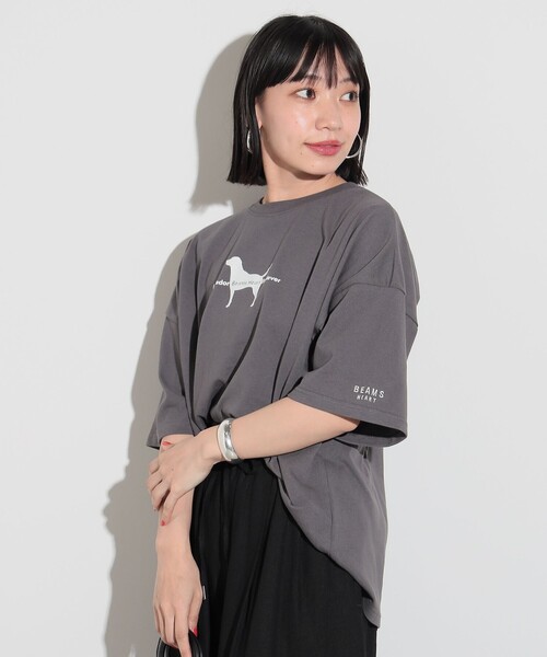 Labrador Retriever(ラブラドールリトリーバー)の「BEAMS HEART / Labrador Retriever フロッキープリント ドッグ Tシャツ(Tシャツ/カットソー・レディース・チャコールグレー/オフホワイト・FREE)」の10枚目の写真