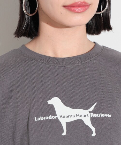 Labrador Retriever(ラブラドールリトリーバー)の「BEAMS HEART / Labrador Retriever フロッキープリント ドッグ Tシャツ(Tシャツ/カットソー・レディース・チャコールグレー/オフホワイト・FREE)」の14枚目の写真