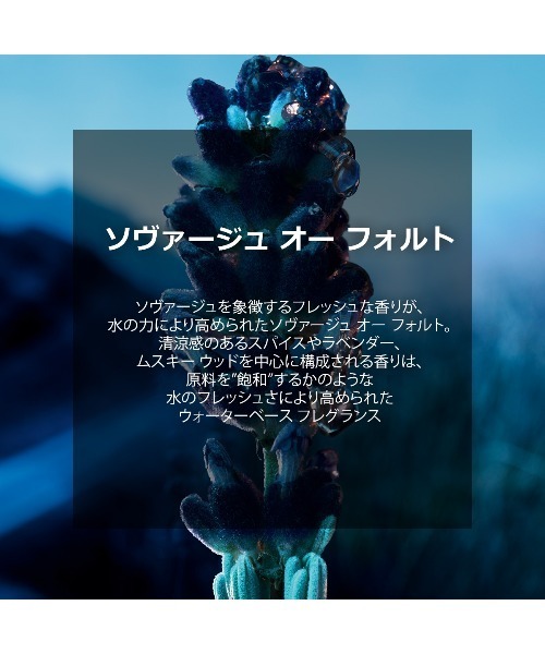 Dior(ディオール)の「ソヴァージュ オー フォルト(100mL)(香水・メンズ・ナシ・FREE)」の4枚目の写真