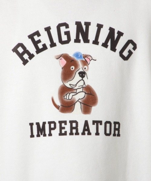 LAKOLE（ラコレ）の「アニマルフロッキープルオーバー / 147797（スウェット・メンズ・チャコールグレー/ホワイト/ターコイズブルー・LARGE/MEDIUM/X-LARGE）」の19枚目の写真