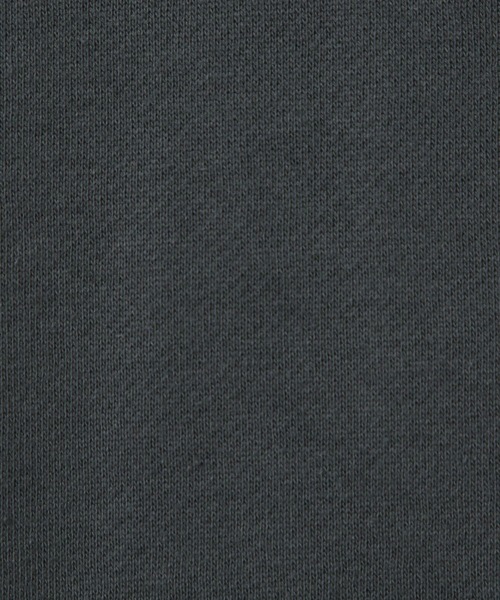 LAKOLE（ラコレ）の「アニマルフロッキープルオーバー / 147797（スウェット・メンズ・チャコールグレー/ホワイト/ターコイズブルー・LARGE/MEDIUM/X-LARGE）」の22枚目の写真