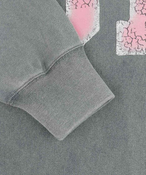 EVISU（エヴィス）の「【EVISU】LONG SLEEVE EVISU 91 L/S TEE / ライトグレー [2EAEJM5TL6105]（Tシャツ/カットソー・メンズ・グレー・M/L/S/LL）」の4枚目の写真