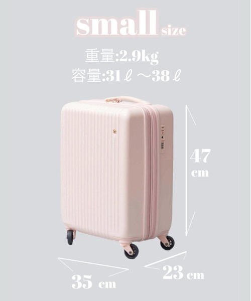 ナイスクラップ　スーツケース(小) 機内持ち込みサイズ　キャリーケース NICE CLAUPスーツケース(小) （縦47cm機内持ち込みサイズ