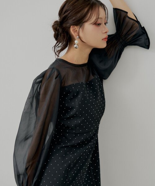 Chico（チコ）の「【WEB限定/SALON by Chico】配色シースルータイトロングドレス/オケージョン（ワンピース・レディース・グレー系その他2/ブラック/ブラック系その他2/ブラック系その他3・SMALL/MEDIUM）」の16枚目の写真