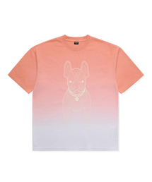 LIFE WORK | 共用) ビッグラドッググラデーション半袖Tシャツ(Tシャツ/カットソー)
