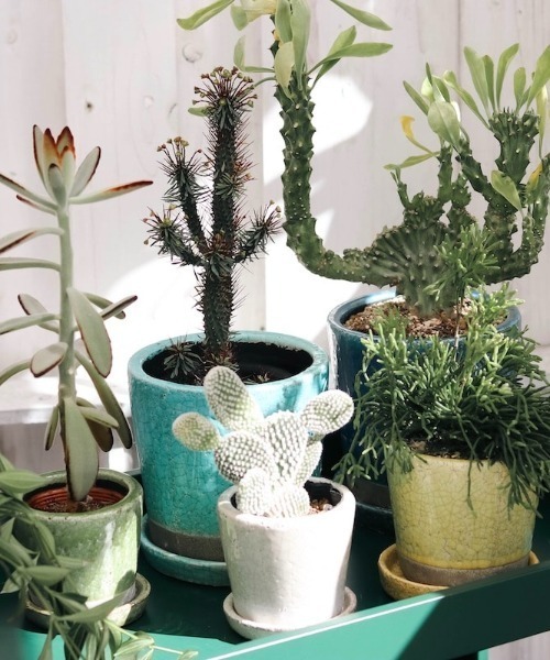 DULTON(ダルトン)の「カラーグレーズポット / COLOR GLAZED POT(フラワーベース・レディース・オレンジ/ダークブルー/ターコイズブルー/アイボリー/イエロー/その他/ライトグリーン/ターコイズブルー系・FREE)」の16枚目の写真