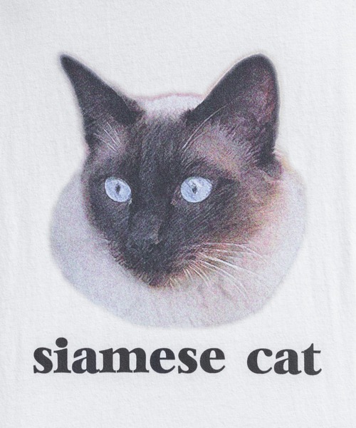 kutir(クティール)の「アソートキャットプリントルーズTシャツ(Tシャツ/カットソー・メンズ・ホワイト系その他/ホワイト系その他2/ホワイト系その他3・MEDIUM/LARGE)」の5枚目の写真
