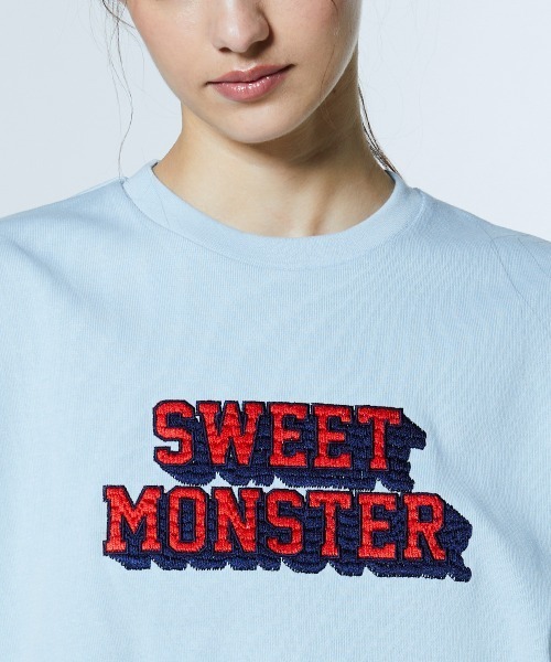 DOUBLE STANDARD CLOTHING（ダブルスタンダードクロージング）の「ヴィンテージロゴ ショート丈Tシャツ（Tシャツ/カットソー・レディース・サックスブルー/オフホワイト・38/36）」の12枚目の写真
