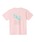 Pacific PICKLE CLUB�i�p�V�t�B�b�N�s�b�N���N���u�j�́uPPC WAVE DRY T-SHIRT�iT�V���c/�J�b�g�\�[�j�v�b�s���N