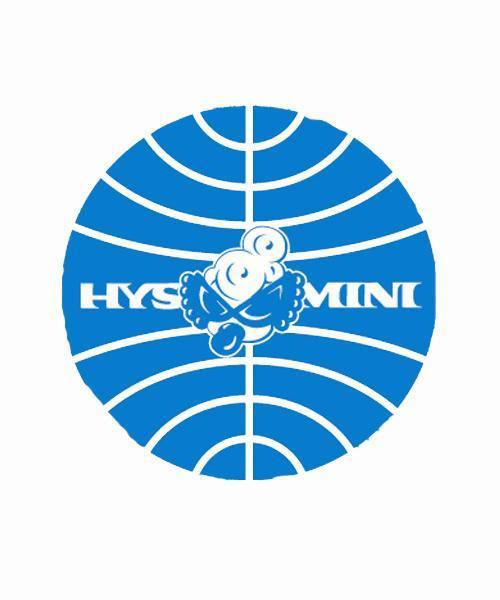 HYSTERIC MINI（ヒステリックミニ）の「HYSTERIC MINI 『MOOK